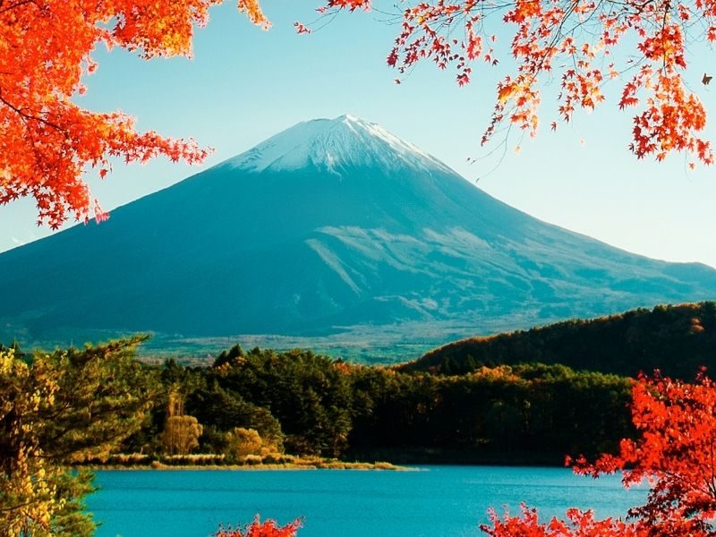 Tokyo – Mt. Fuji – Yokohama (5D4N Tour)