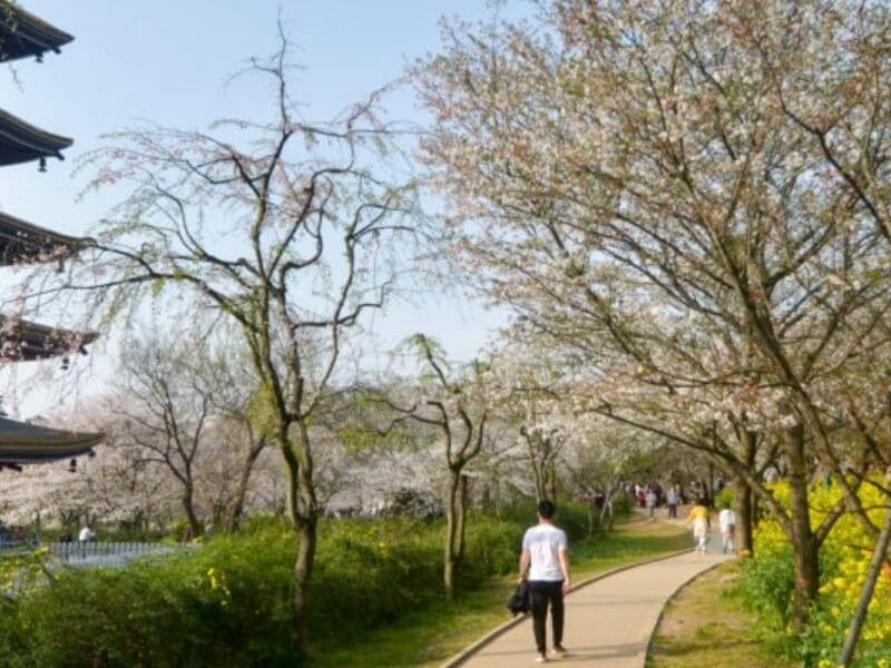 Wuhan-Yangtze River