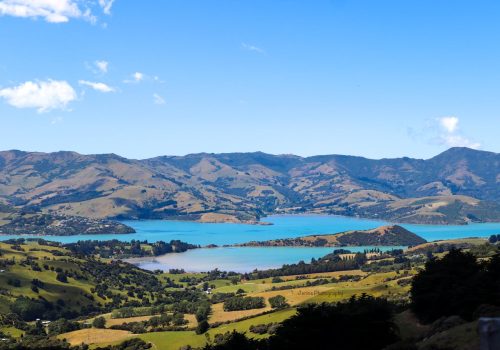 NZ